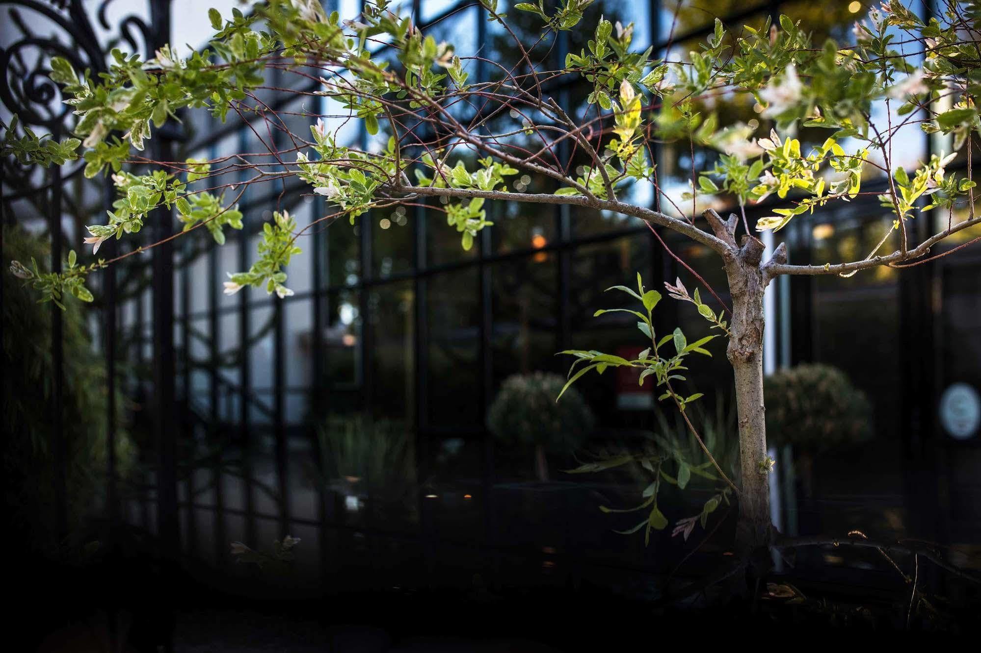 Maison Decoret - Relais & Chateaux Βισύ Εξωτερικό φωτογραφία